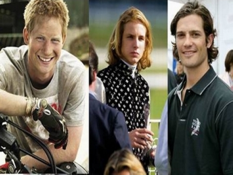 ŷ�޻����������������