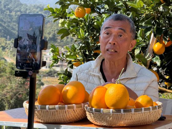 　　王文瑞在江西赣州直播推介赣南脐橙。新华社记者 陈柱佐 摄