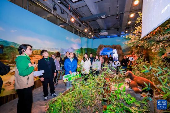 两岸青年一同走进福州熊猫世界（1月27日摄）。新华社发（共青团福州市委供图）